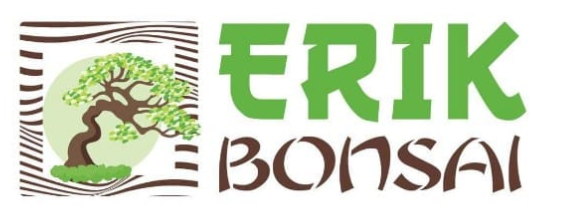 Erik bonsai